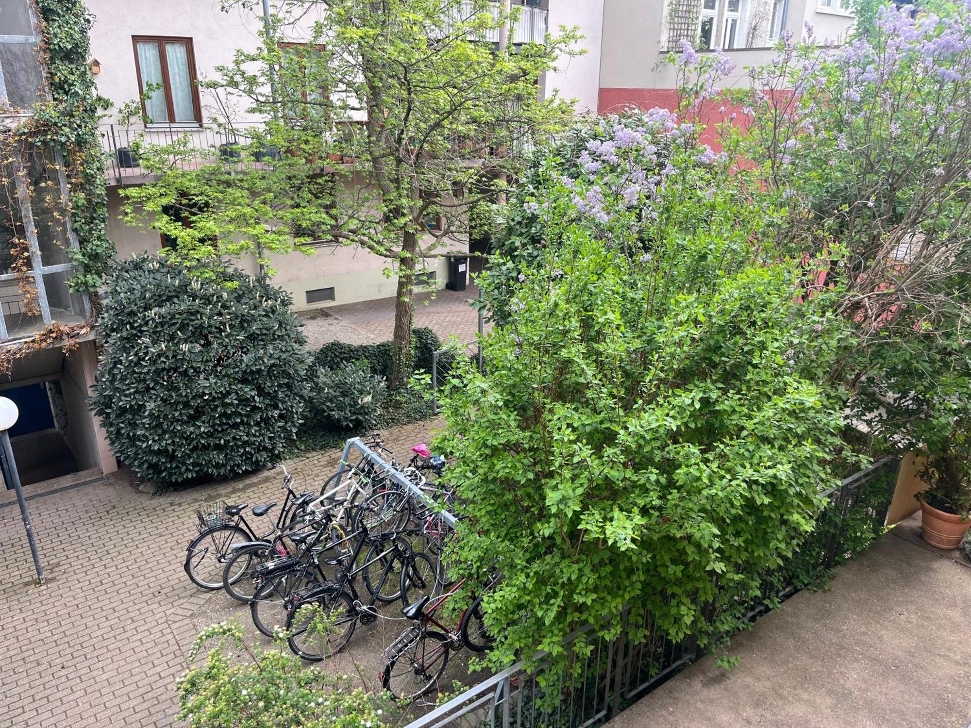 Haus Schoenwald Fryburg Bryzgowijski Zewnętrze zdjęcie