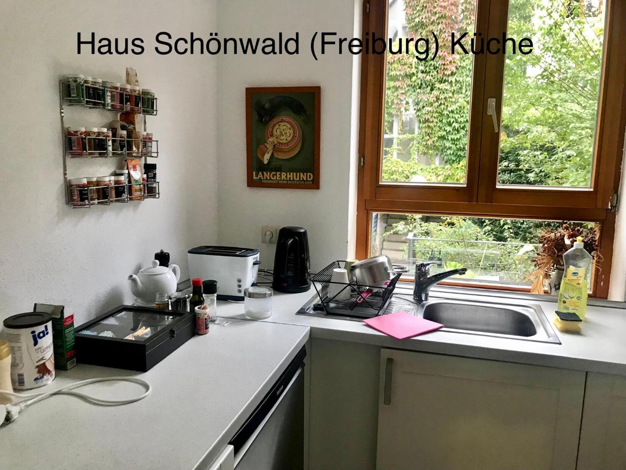 Haus Schoenwald Fryburg Bryzgowijski Zewnętrze zdjęcie