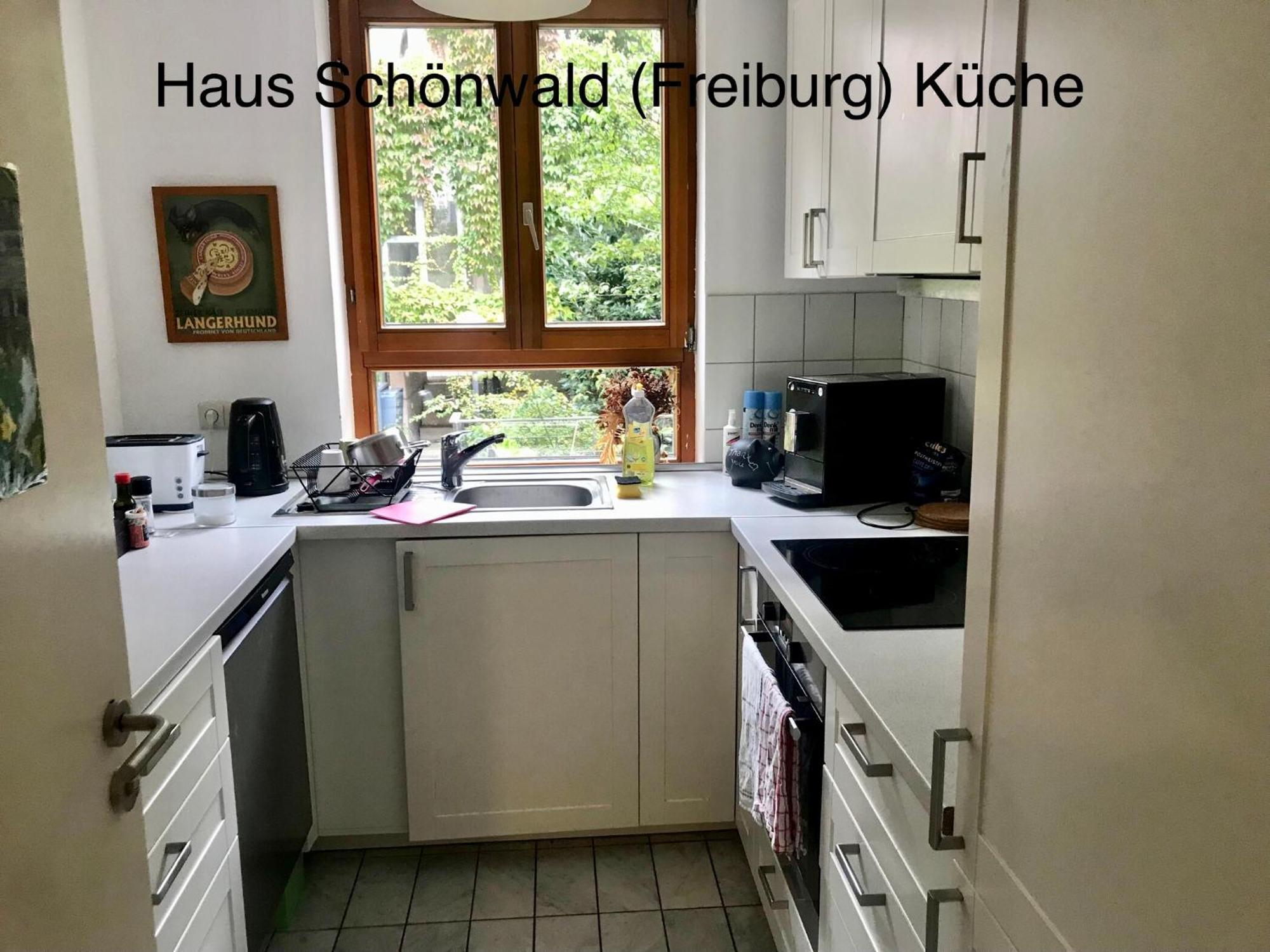 Haus Schoenwald Fryburg Bryzgowijski Zewnętrze zdjęcie